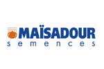 Семена гибридов кукурузы Майсадур Mas Seeds